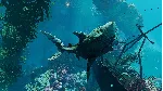 ❗ MANEATER❗ XBOX ONE/X|S+ПК🔑 КЛЮЧ❗ 