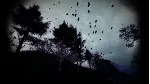 ❗ SLENDER: THE ARRIVAL❗ XBOX ONE/X|S🔑 КЛЮЧ❗ 