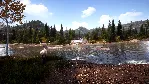 ❗ HUNTING SIMULATOR 2 ELITE EDITION❗ XBOX SERIES X|S КОД❗ 