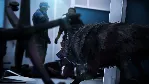❗ WEREWOLF: THE APOCALYPSE EARTHBLOOD🔥 XBOX ONE🔑 КЛЮЧ🔥 