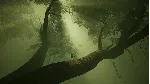 Icarus: Новые рубежи DLC⚡ АВТОДОСТАВКА Steam