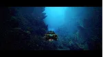 Under The Waves Xbox One & Xbox Series X|S