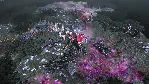 Warhammer 40,000: Gladius - Adepta Sororitas DLC