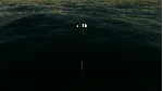 ✅ ❤ ️FISHING: NORTH ATLANTIC❤ ️XBOX ONE|XS🔑 КЛЮЧ✅ 