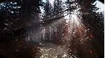 Great North Shelter 2 АВТОДОСТАВКА STEAM GLOBAL МГНОВЕННО ЛИЦЕНЗИЯ