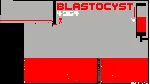 STSP: Super Titty Space Prison * STEAM RU ⚡ АВТО 💳 0%