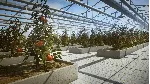 PURE FARMING 2018 DIGITAL DELUXE EDITION XBOX КЛЮЧ - irongamers.ru