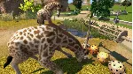 ❗ ZOO TYCOON❗ XBOX ONE/X|S🔑 КЛЮЧ❗ 