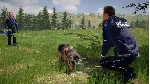 Autobahn Police Simulator 3 - Off-Road DLC STEAM РОССИЯ