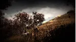 Slender: The Arrival * STEAM RU ⚡ АВТО 💳 0%