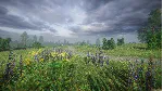 СИМУЛЯТОР ОДИНОЧЕСТВА В РУССКОЙ ДЕРЕВНЕ * STEAM RU ⚡ 