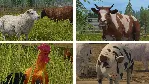 Farming Simulator 17 * STEAM RU ⚡ АВТО 💳 0%