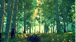 Firewatch * STEAM РОССИЯ ⚡ АВТОДОСТАВКА 💳 0% КАРТЫ