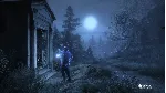 The Vanishing of Ethan Carter - Collector's Edition Upg
