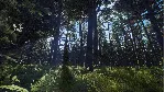 Way of the Hunter - Aurora Shores DLC * STEAM RU ⚡ 