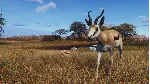 Way of the Hunter - Tikamoon Plains DLC * STEAM RU ⚡ 