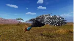 Way of the Hunter - Tikamoon Plains DLC * STEAM RU ⚡ 