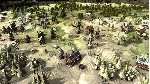 World Turtles (steam key)