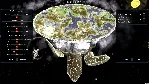 World Turtles (steam key)