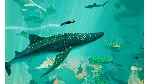 ❗ ABZU❗ XBOX ONE/X|S🔑 КЛЮЧ❗ 