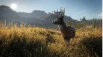 ❗ THEHUNTER: CALL OF THE WILD❗ XBOX ONE/X|S🔑 КЛЮЧ❗ 