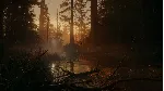 ✅ Alan Wake 2 Deluxe Edition✅ XBOX SERIES XS Активация🎁 