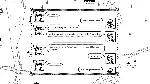 West of Loathing * STEAM RU АВТО 0% - irongamers.ru