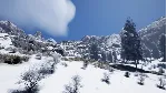 Icarus: Arcticus Arctic Forest Outpost DLC АВТОДОСТАВКА STEAM РОССИЯ - irongamers.ru