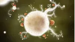 Botanicula * STEAM РОССИЯ АВТОДОСТАВКА 0% КАРТЫ - irongamers.ru