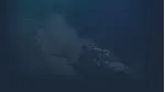 WRC-EA Sports | Steam RU+UA+KZ - irongamers.ru