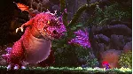 ✅ GIANA SISTERS: TWISTED DREAMS - DIRECTOR'S CUT❤ ️XBOX🔑 