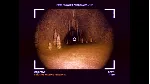 Cave Crawler 💎 АВТОДОСТАВКА STEAM GLOBAL МГНОВЕННО ЛИЦЕНЗИЯ