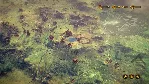 ✅ ❤ ️THE DWARVES❤ ️XBOX ONE|XS🔑 КЛЮЧ✅ 