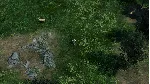HumanitZ * STEAM РОССИЯ ⚡ АВТОДОСТАВКА 💳 0% КАРТЫ