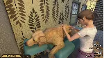 Pets Hotel * STEAM РОССИЯ ⚡ АВТОДОСТАВКА 💳 0% КАРТЫ