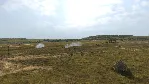 Graviteam Tactics: Strong Point DLC * STEAM RU - irongamers.ru