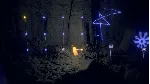 The Forest Quartet АВТОДОСТАВКА STEAM GLOBAL МГНОВЕННО ЛИЦЕНЗИЯ