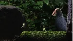 Seedlings * STEAM РОССИЯ ⚡ АВТОДОСТАВКА 💳 0% КАРТЫ