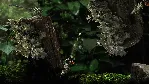 Seedlings * STEAM РОССИЯ ⚡ АВТОДОСТАВКА 💳 0% КАРТЫ