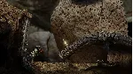 Seedlings 💎 АВТОДОСТАВКА STEAM GLOBAL МГНОВЕННО ЛИЦЕНЗИЯ