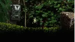 Seedlings 💎 АВТОДОСТАВКА STEAM GLOBAL МГНОВЕННО ЛИЦЕНЗИЯ