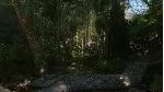 Crysis Remastered | АВТОДОСТАВКА [Россия Steam Gift] - irongamers.ru