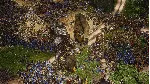 🟣 SpellForce 3 Reforced - Steam Оффлайн 🎮 