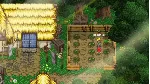 Harvest Island * STEAM RU ⚡ АВТО 💳 0%