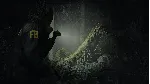 Alan Wake 2 Deluxe Edition - Epic Games Оффлайн - irongamers.ru