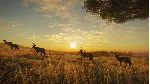 theHunter: Call of the Wild™ - Vurhonga Savanna DLC - irongamers.ru