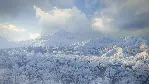 theHunter: Call of the Wild™ - Medved-Taiga DLC - irongamers.ru