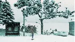 ❗ TRUBERBROOK❗ XBOX ONE/X|S🔑 КЛЮЧ❗ 