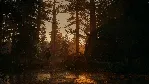 Alan Wake 2 Deluxe Edition Xbox Series X|S