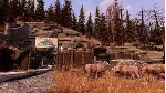 Fallout 76 + Gone Fission (Все Издания) Steam Ключ